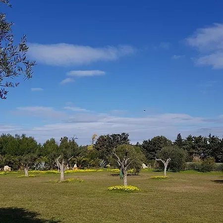 مزرعة للإقامة La Luce Del Sinis ريولا ساردو