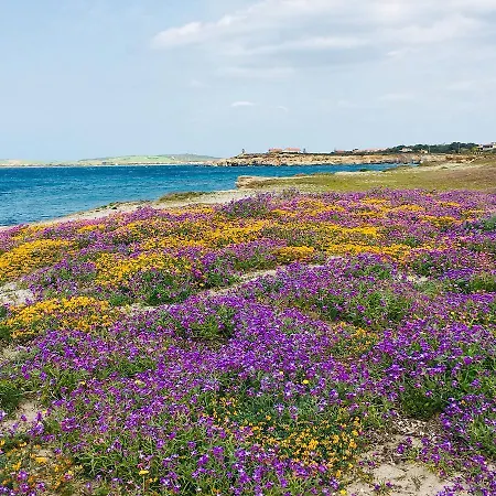 La Luce Del Sinis Alloggio per agriturismo