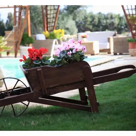 Vakantieboerderij La Luce Del Sinis Riola Sardo